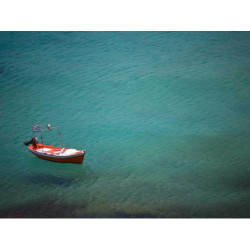 Practical Wooden Pants fr-FR